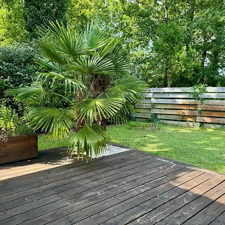 La Des épicuriens - - Bassin D'arcachon *